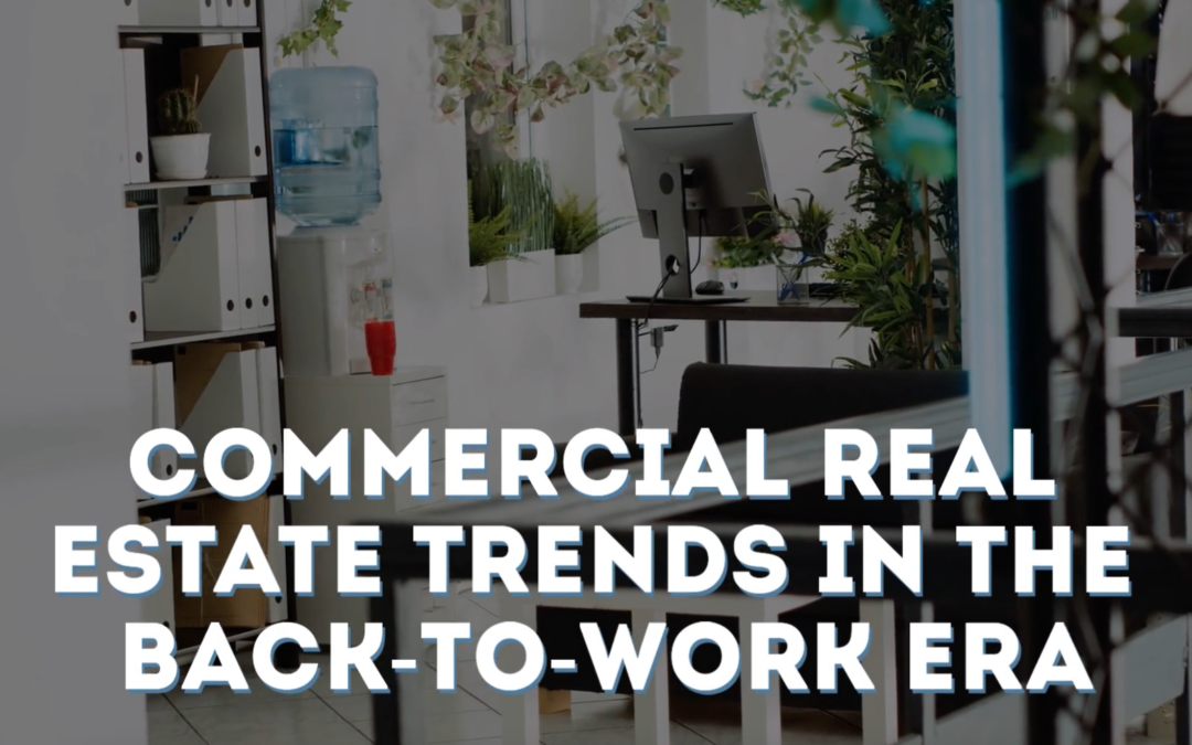 Commercial Real Estate Trends in the Back-to-Work Era