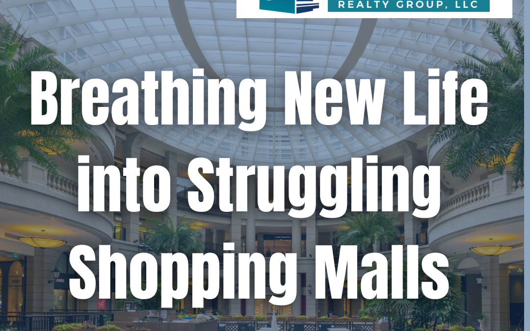 Breathing New Life into Struggling Shopping Malls